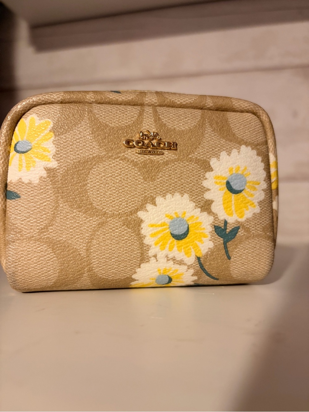C3054 Coach mini pouch